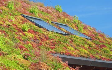Ruckinge living roof systems