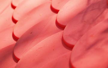 Ruckinge plastic roof costs