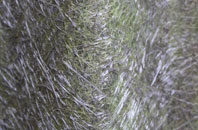 Ruckinge fibreglass roof work